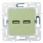 SKANDY Розетка USB A+A 3,1А SK-R15G мятный IEK