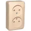 ЭТЮД Розетка двойная наружная без заземления без шторок Сосна