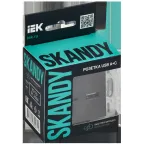 SKANDY Розетка USB A+A 3,1А SK-R15S серебряный IEK
