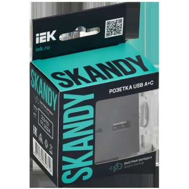SKANDY Розетка USB A+A 3,1А SK-R15S серебряный IEK