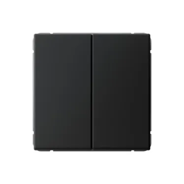 ARTGALLERY 2-клавишный выключатель, сх.5, 10АХ, механизм, карбон