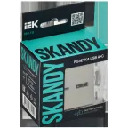 SKANDY Розетка USB A+C 18Вт SK-R13B бежевый IEK