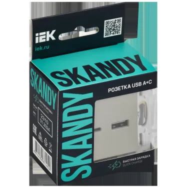 SKANDY Розетка USB A+C 18Вт SK-R13B бежевый IEK