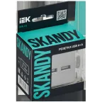 SKANDY Розетка USB A+C 18Вт SK-R13T титан IEK