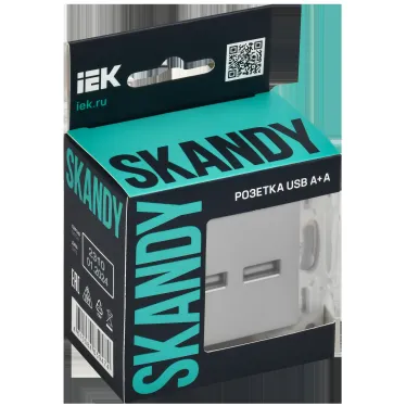 SKANDY Розетка USB A+C 18Вт SK-R13T титан IEK
