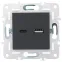SKANDY Розетка USB A+C 3,1А SK-R14G графит IEK