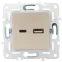 SKANDY Розетка USB A+C 3,1А SK-R14Sa песочный IEK