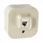 Quteo Розетка телефонная RJ11 наружная бежевая