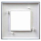 Avanti Рамка ARTLEBEDEV Закаленная сталь 2 модуля