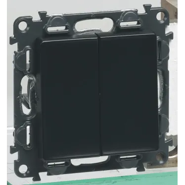 Valena IN MATIC Выключатель двухклавишный 10А 250В Безвинтовые зажимы