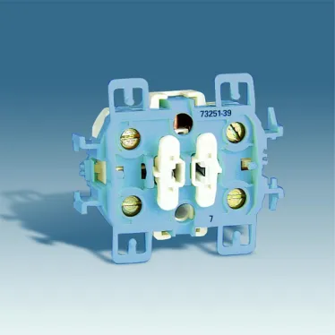 Выключатель двухполюсный, 10А 250В, S73L, механизм