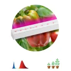 Линейный светильник красно-синего спектраFITO-16W-Т5-N (30/840)