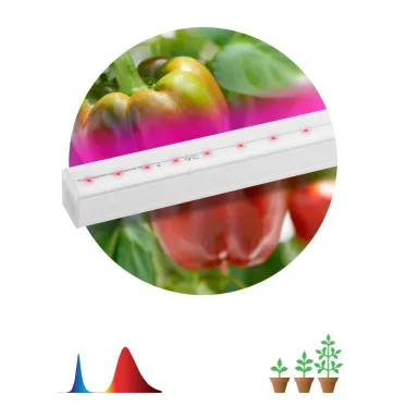 Линейный светильник красно-синего спектраFITO-16W-Т5-N (30/840)