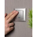 Валенсия лицевая панель выключателя 2-кл. с индикатором 10А сталь