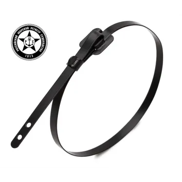 Стяжка стальная СКБ-П (316) 9.6x900