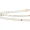 Лента RT-A60-8мм 24V White6000 (7.2 W/m, IP20, 2835, 5м) (Открытый)