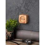 Розетка 1-местная ОП Минск 10А без заземления светлое дерево