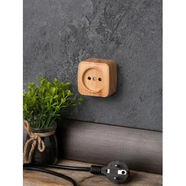 Розетка 1-местная ОП Минск 10А без заземления светлое дерево