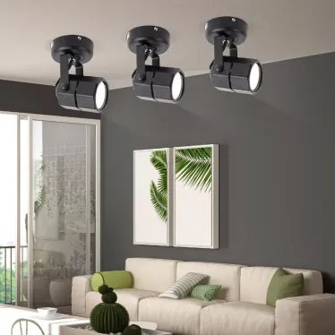 Светильник Накладной, черный (50/900)