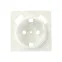Валенсия лицевая панель розетки 1-местной с/з 16А жемчуг с защ. штор. с 2 USB 2,1А