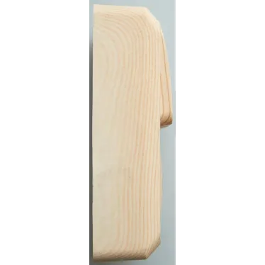 ЭТЮД блок открытой установки Розетка без заземления + Выключатель 2-клавиш., сосна