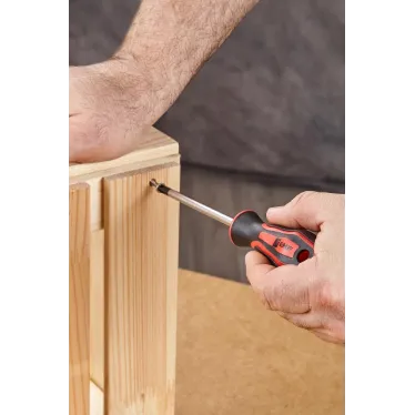 Отвертка Master PH1x100 мм Basic