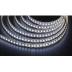 Лента светодиодная NLS-2835CW168-16-IP20-12V