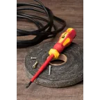 Отвертка Master SL4x100 мм 1000В Basic