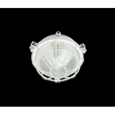 Светильник ДПП-03-24-001 LED прозрачный 2135Лм IP54 без сетки