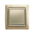 Рамка на 1 пост, S82, шампань матовая - шампань