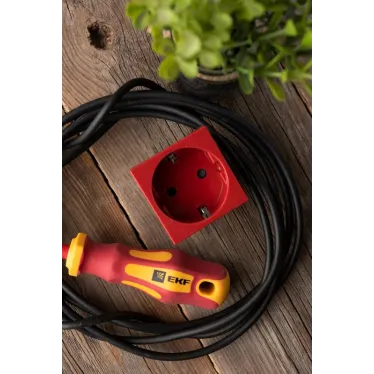 Розетка 45х45 (2 модуля), с заземлением, красная, прямая