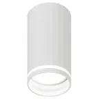 Светильник настенно-потолочный спот OL42 WH MR16 GU10 IP20 белый