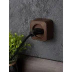 Розетка 1-местная ОП Минск 10А без заземления темное дерево