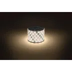 Светодиодная лента LS5050-14,4-60-12-3000K-IP65-1 year-5m теплый белый 5м