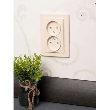 Розетка двухместная СП без заземления 10А бежевый с защитными шторками Минск