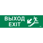 Этикетка самоклеящаяся 310х90мм ''Выход/лестница вниз/фигура'' IEK
