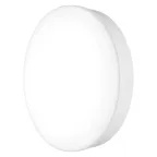 Светильник светодиодный ДПО-15Вт 3000K 1400Лм IP65 белый 250мм BULKHEAD