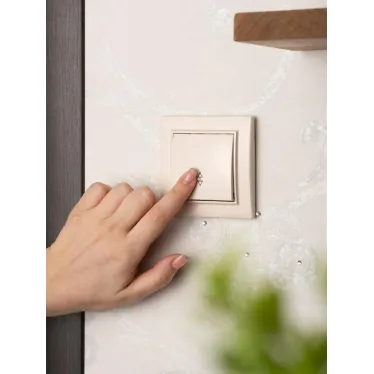 Выключатель одноклавишный СП проходной 10А бежевый Минск