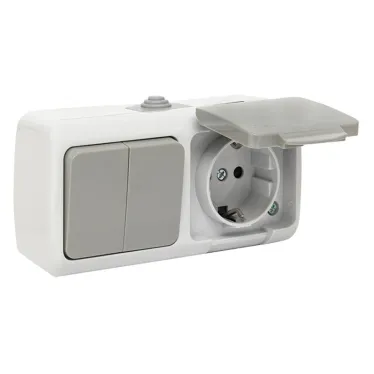 Блок розетка Мурманск 1-м 16А с заземлением с крышкой + двухклавишный выключатель IP54 серый