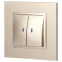 Выключатель двойной с подсветкой, 10АХ-250В, Эра Elegance, шампань,14-1105-04