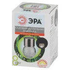 Светильник уличный ERASF22-32 подвесной Лампочка на солнечной батарее