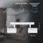 Светильник настенно-потолочный спот OL35-2 WH MR16 GU10 IP20 белый хром