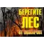 Знак ''Берегите лес от огня!'' 1200х800 мм
