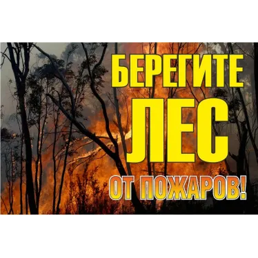 Знак ''Берегите лес от огня!'' 1200х800 мм