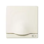 Накладка с крышкой на 75432-, 75464-39, S82,82N, сл.кость