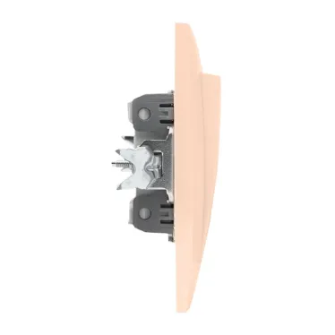 Валенсия выключатель 2-кл. 10А кремовый с индикатором