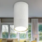 Светильник настенно-потолочный спот OL31 WH MR16 GU10 IP20 белый