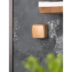 Выключатель 1-клавишный ОП Минск 10А с индикатором светлое дерево