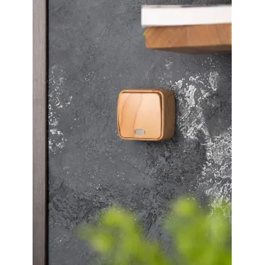 Выключатель 1-клавишный ОП Минск 10А с индикатором светлое дерево