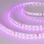 Лента RT-B84-10mm 24V RGB (21 W/m, IP20, 5060, 5m) (, Открытый)